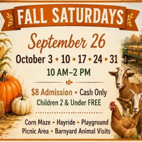 Cukebury Farms Fall Saturday Days, Corn maze, hayride, playground picnic area, barnyard animal visits, $8 cash only