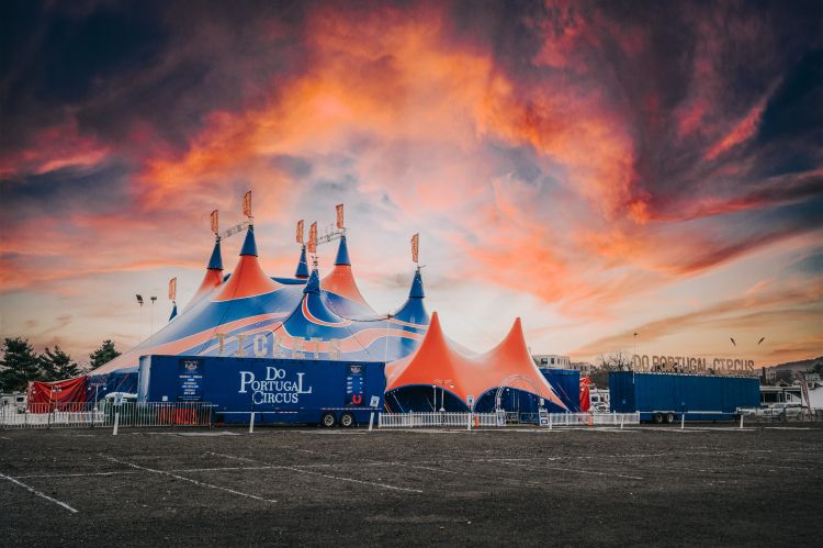 large red, white & blue tent with flags on top of poles holding the tent up.