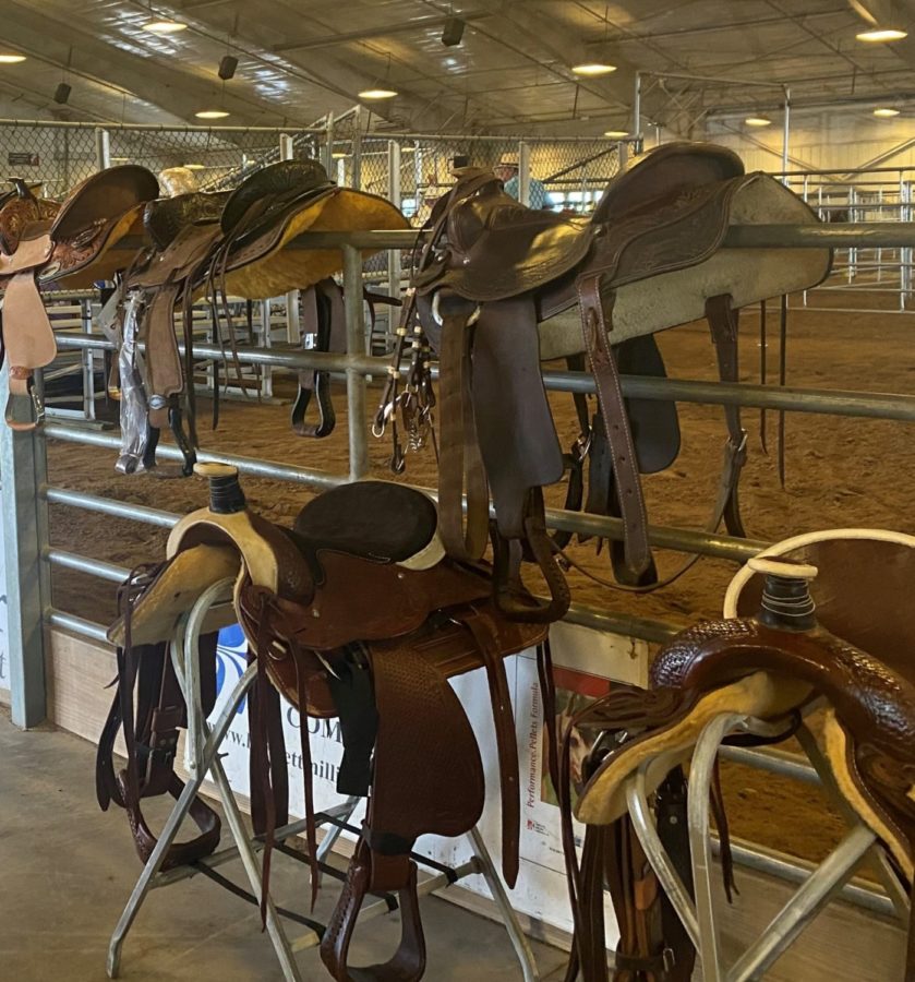 Lumberton Horse and Tack Auction