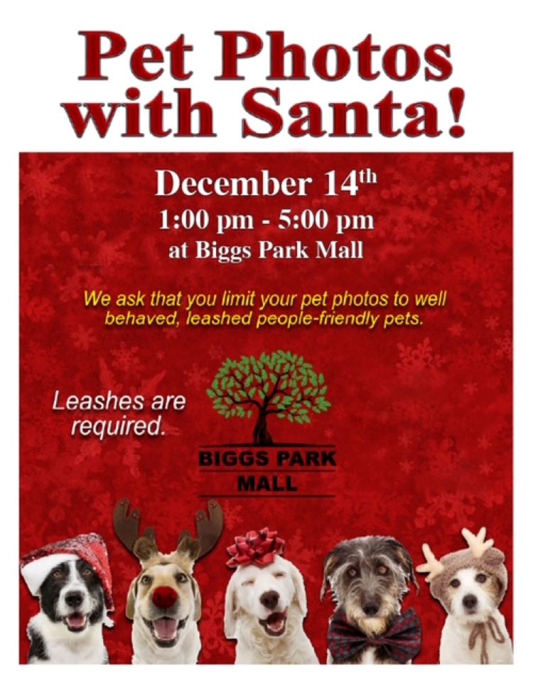 PetPhotoswithSanta-December1