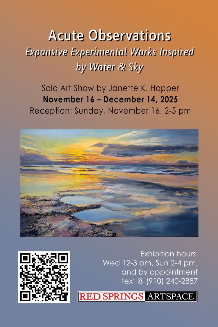 Red Springs Artspace Acute Observations