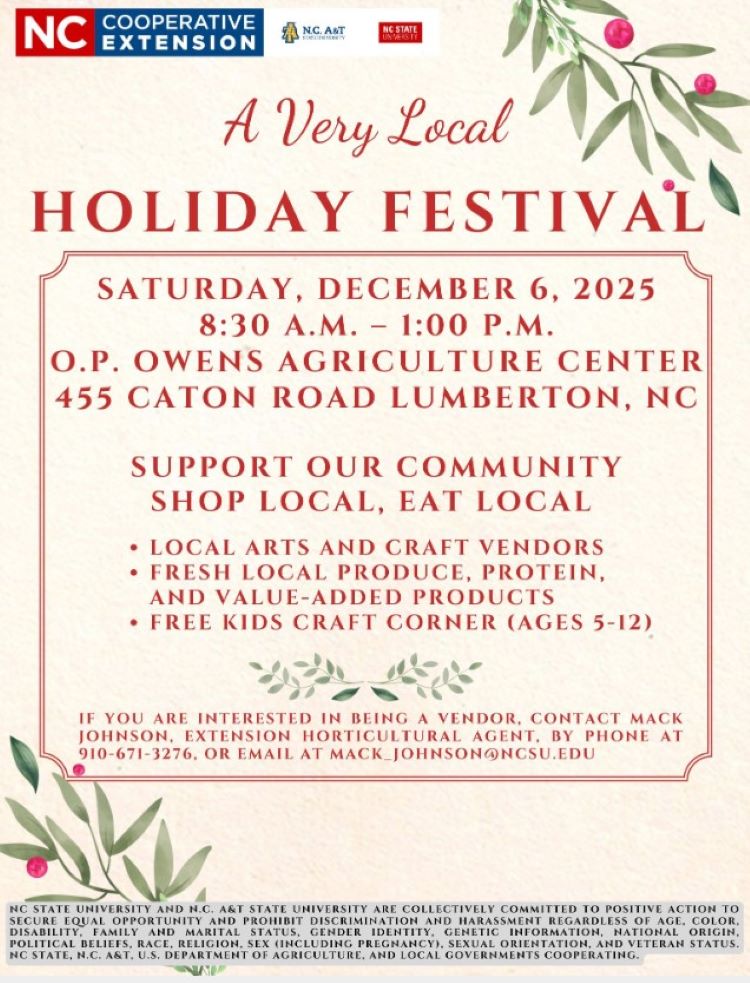 Very Local Holiday Festival